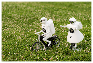 ムラタセイサク君・セイコちゃんお花畑